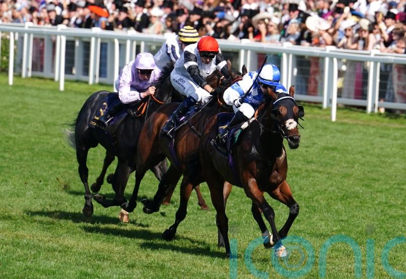 Saint Lawrence thrilling connections with recent progress