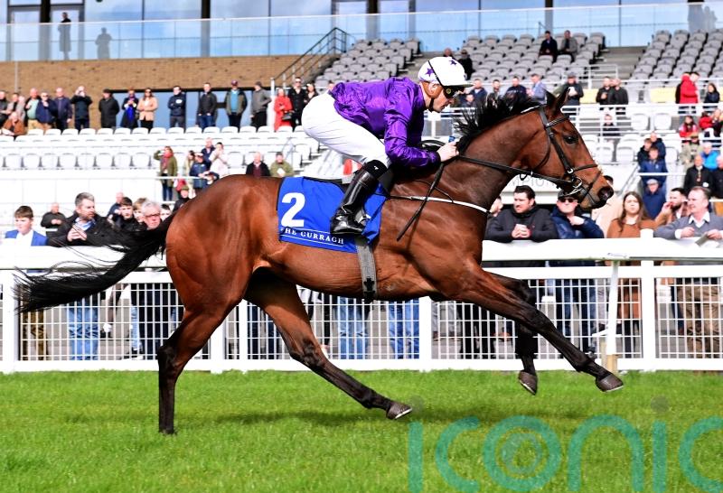 Murray favouring Bucanero Fuerte for Phoenix test