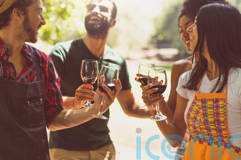 The best affordable South American wines to stock up on now