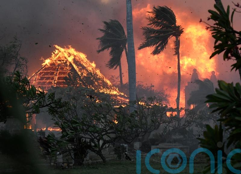 Devastating wildfires in Hawaii leave at least 36 people dead