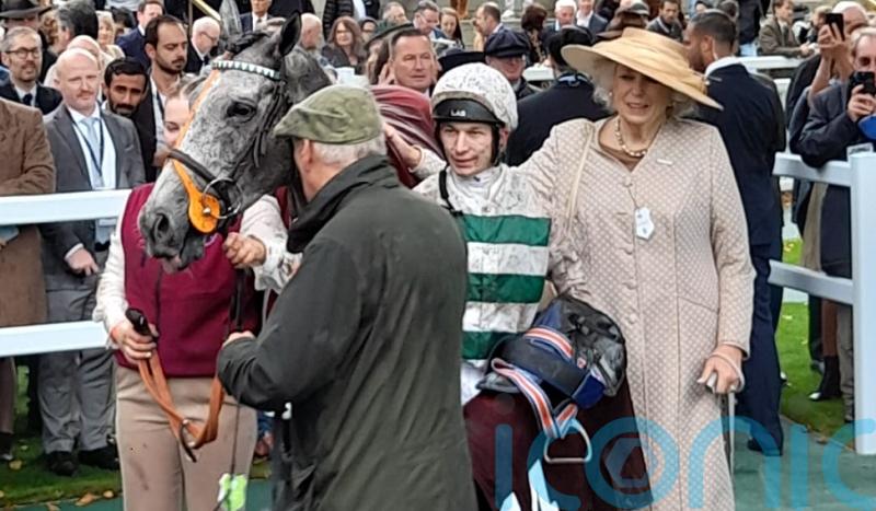 Arc hero Morris ready for another first in Shergar Cup