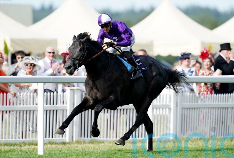 King Of Steel team eye York and Leopardstown options