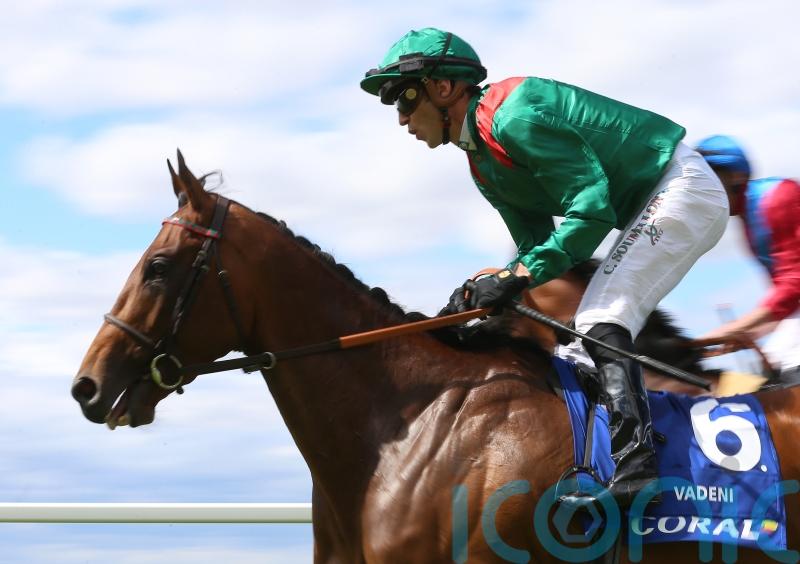 Vadeni retired to stand at Aga Khan’s stud