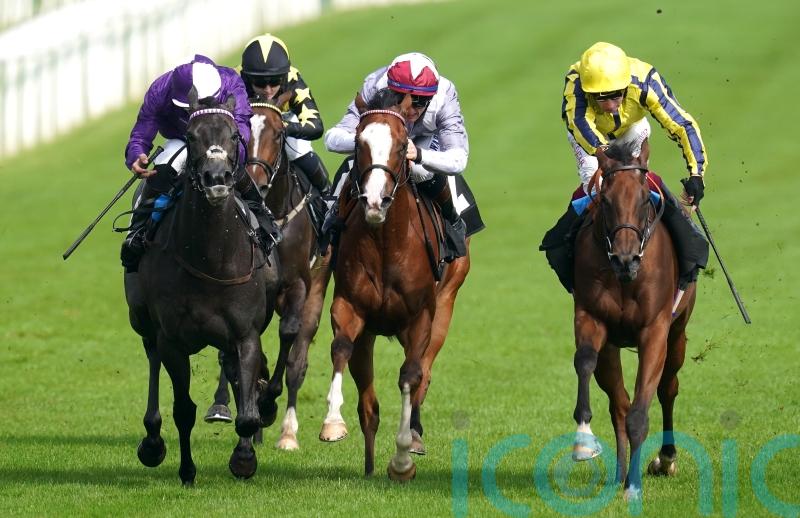 Miaharris swoops to keep unbeaten record intact at Newbury