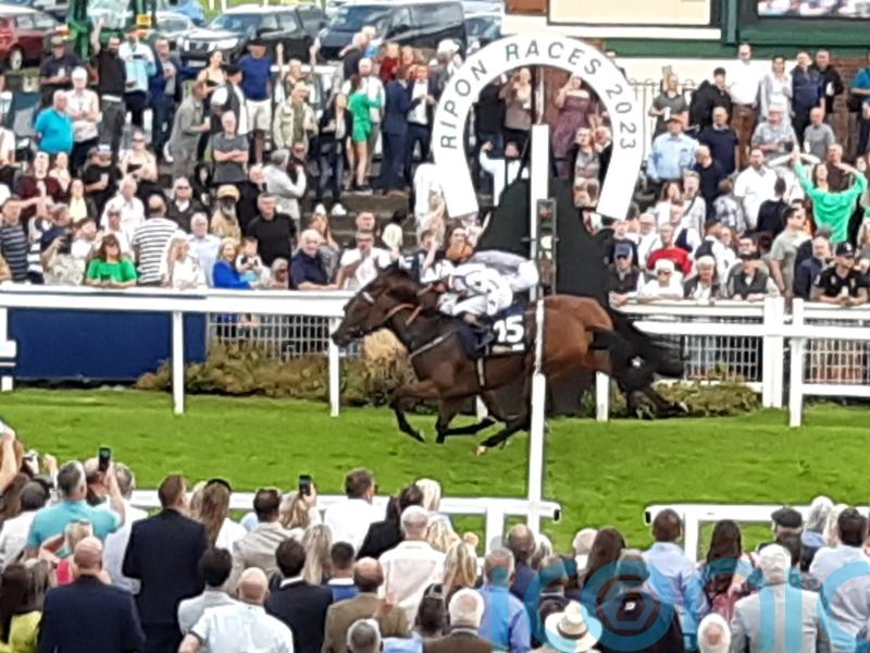 Sophia’s Starlight connections happy to see filly fulfilling her promise