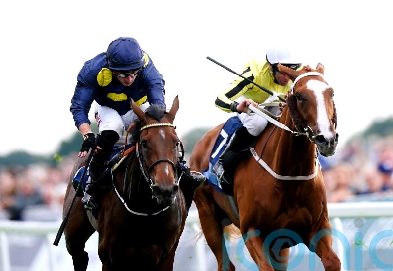 Sea Theme hints at bright future with Galtres Strike