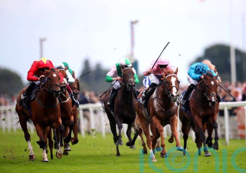 Quinn proud of Highfield Princess in defeat