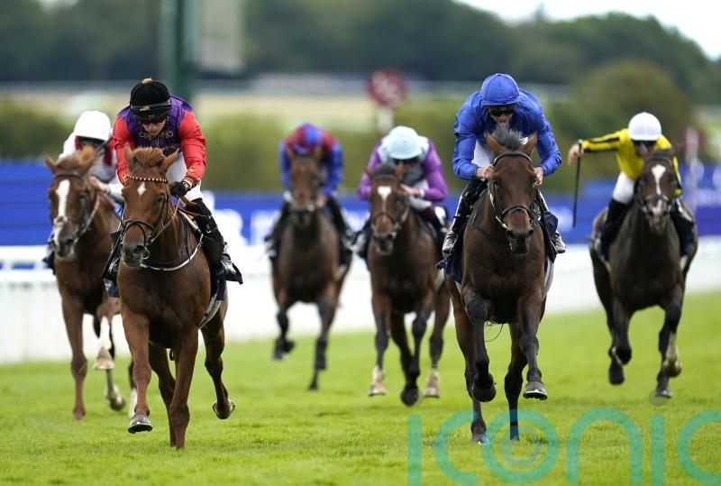 All systems go for royal Classic contender Desert Hero
