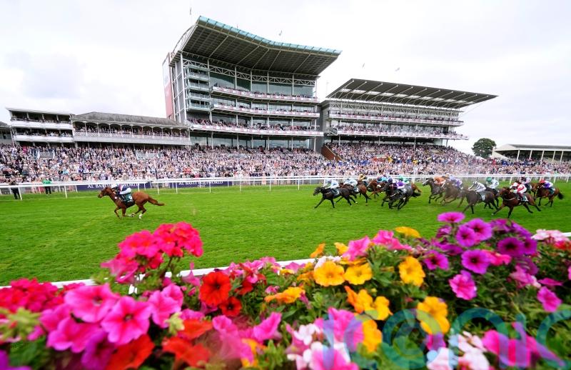 More sales race gold on the agenda for Dragon Leader