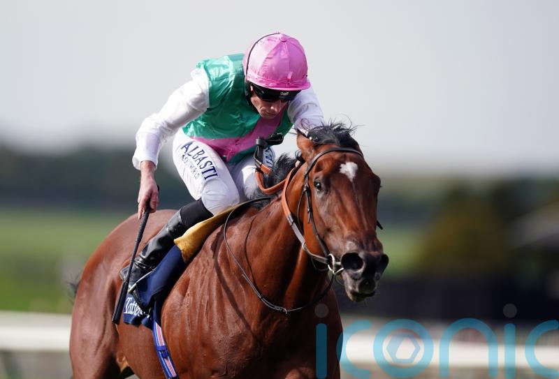 Nostrum set for thorough check-up after York disappointment
