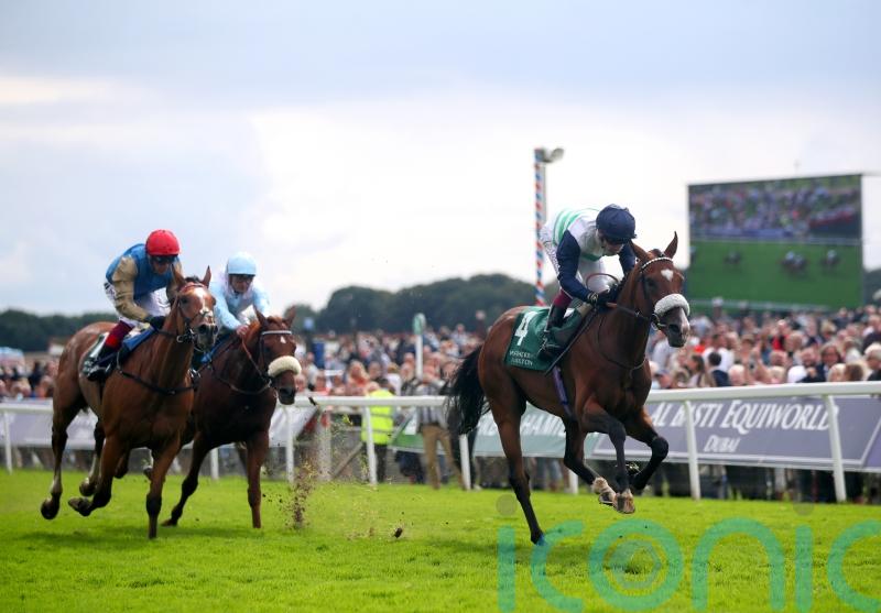 Courage Mon Ami pencilled in for Cadran finale