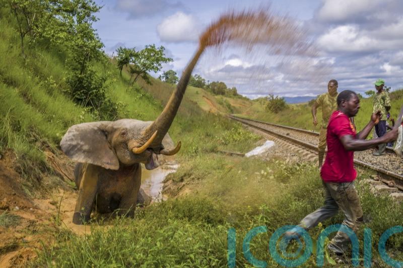 See the stunning new Wildlife Photographer of the Year exhibition pictures