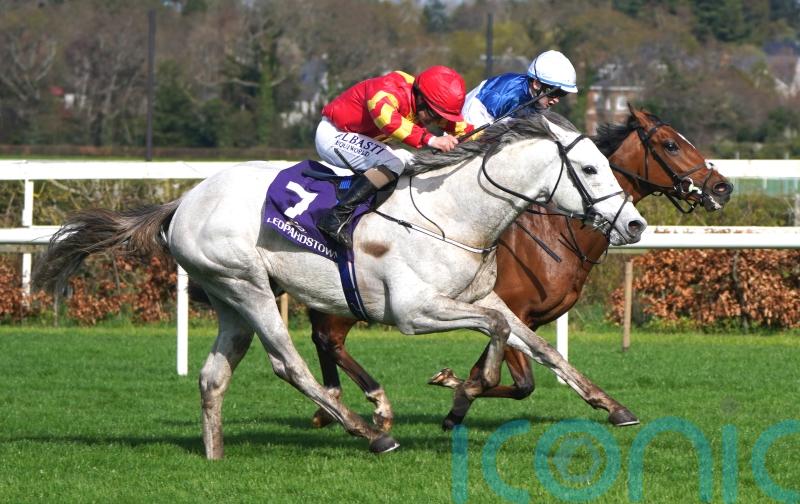White Birch poised for return to action at Leopardstown