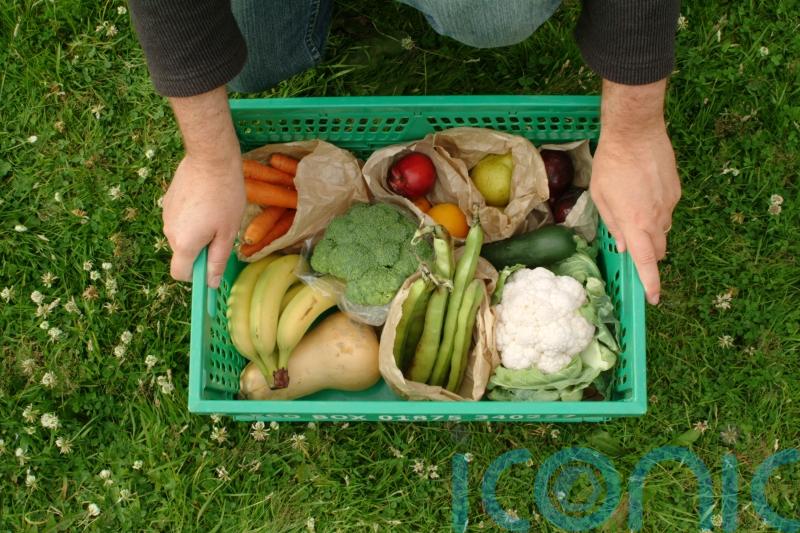 Organic September: What actually makes a food organic?