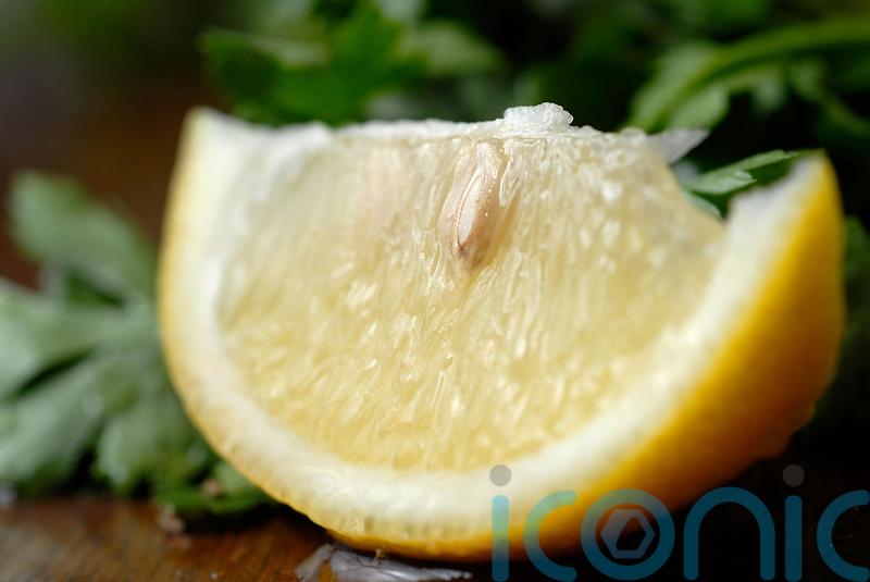 Can you grow a lemon tree from a pip? The beginner gardening questions we all want to ask