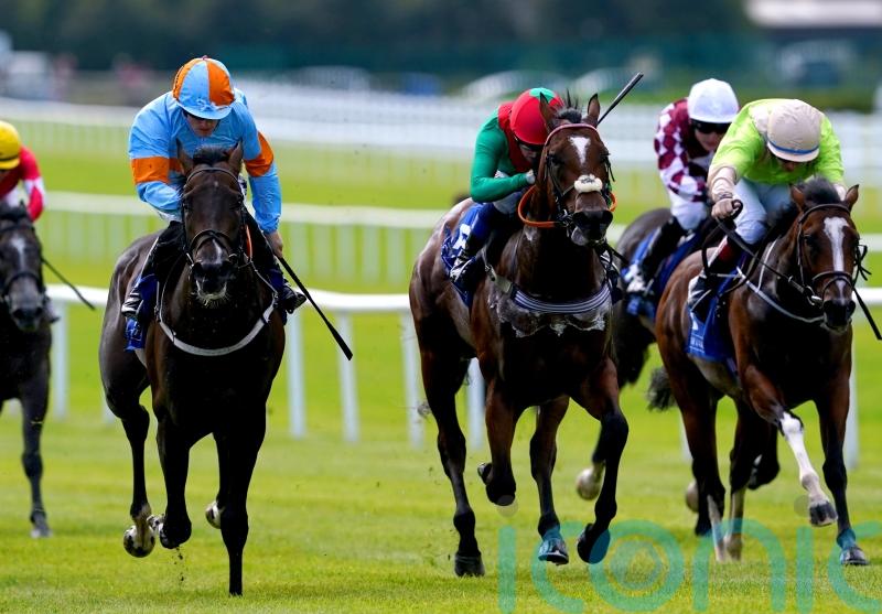 Breeders’ Cup ambition for Mansa Musa