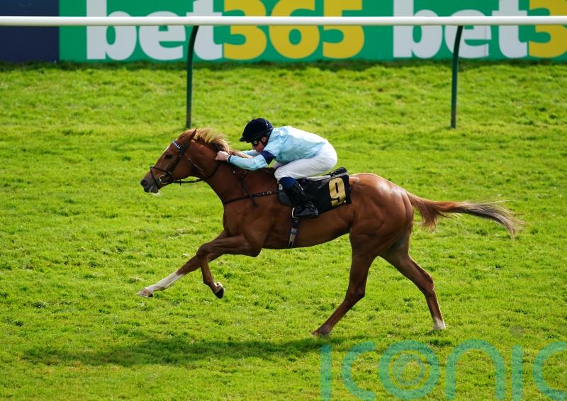 Soprano sets the standard in competitive Dick Poole