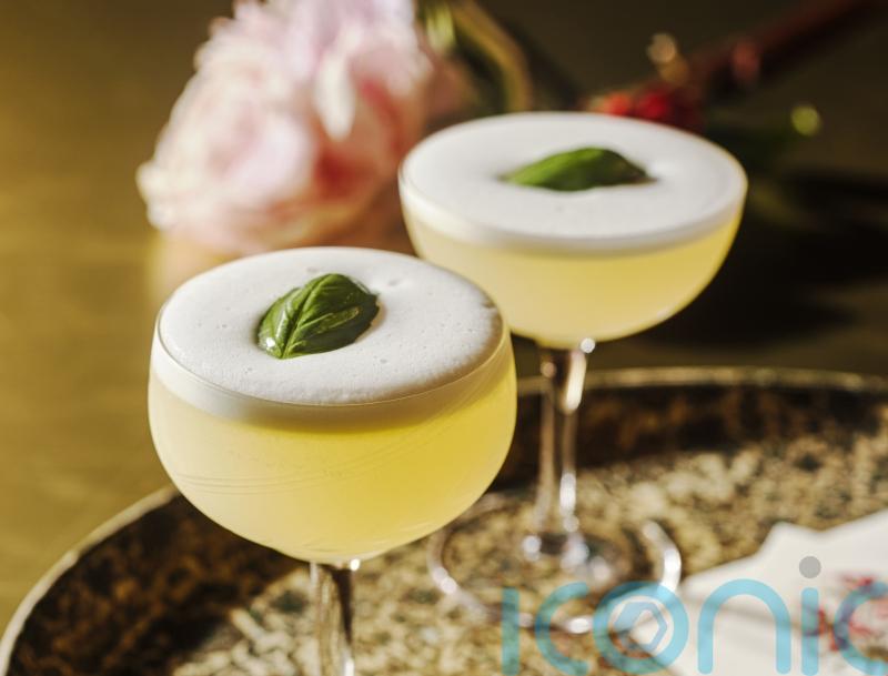 3 gin cocktails to whet your whistle