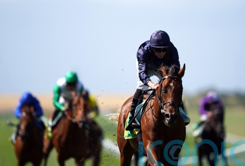 National Stakes set to be must-watch, with O’Brien colts poised for action