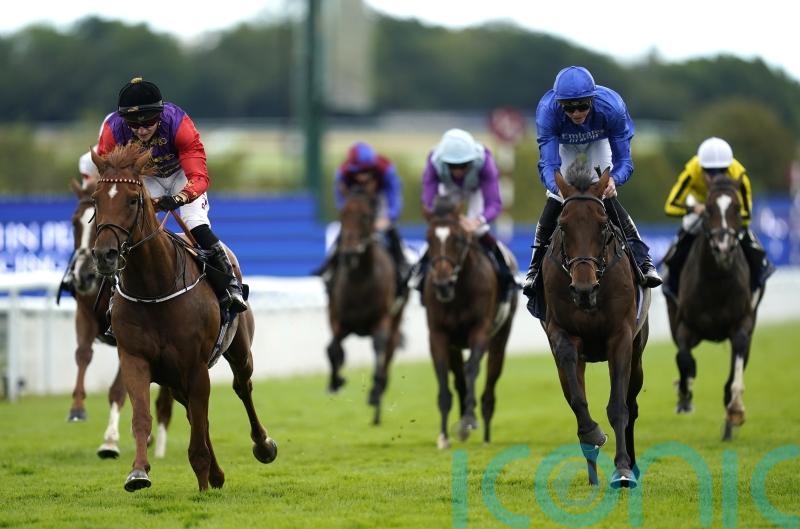 Haggas hoping to realise Classic ambitions for the King and Queen