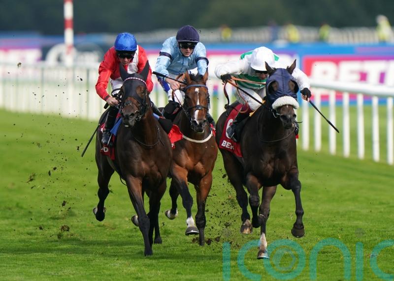 Murphy times it to perfection on Sandrine in Park Stakes