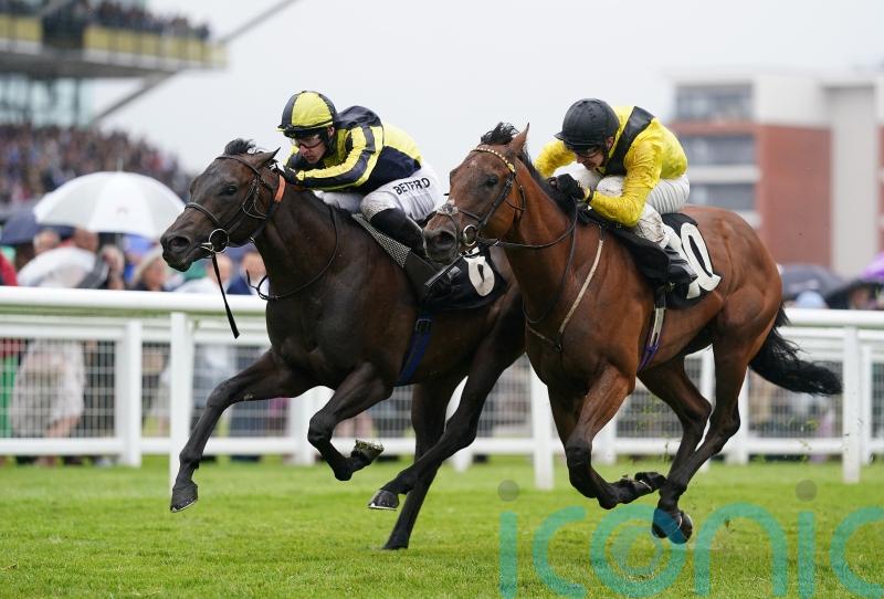 Mister Sketch to kick off Wathnan career in Mill Reef