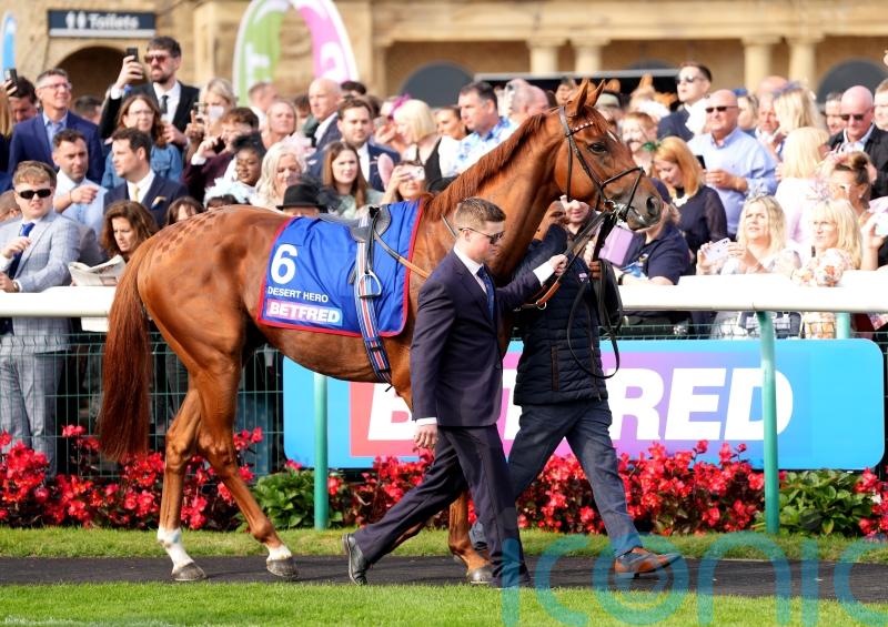 Desert Hero camp rule out Melbourne Cup bid