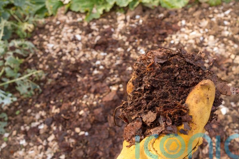 How can I boost my soil when I go peat-free?