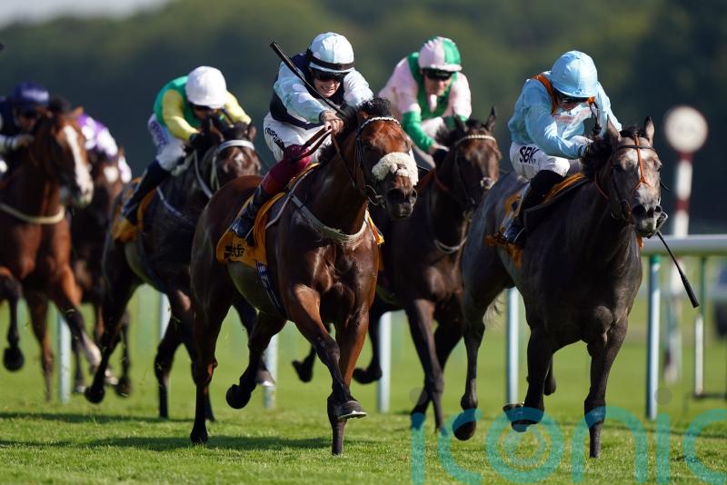 ‘Precarious weather watch’ in prospect for connections of Shouldvebeenaring