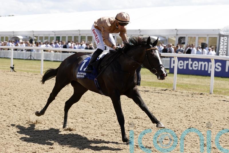 Champions Day assignment remains on Sense Of Duty agenda