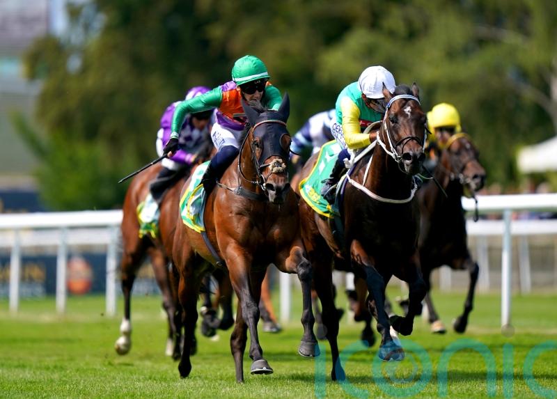 ‘Absolutely brilliant’ Quinault heading for Ascot Challenge