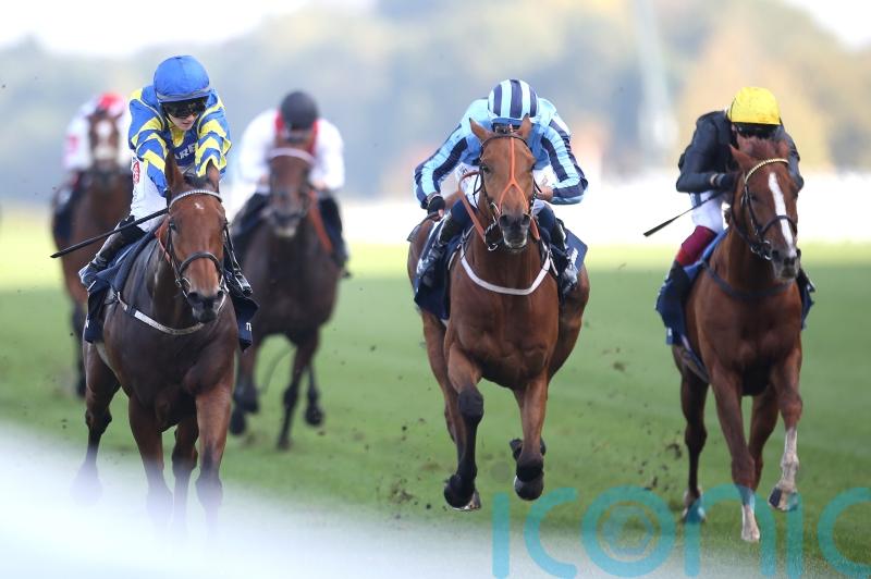 Conditions key to Ellison’s plan for back-to-form Tashkhan