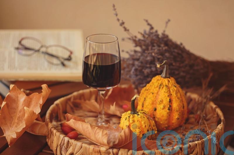 6 feel-good red wines to toast the switch in seasons