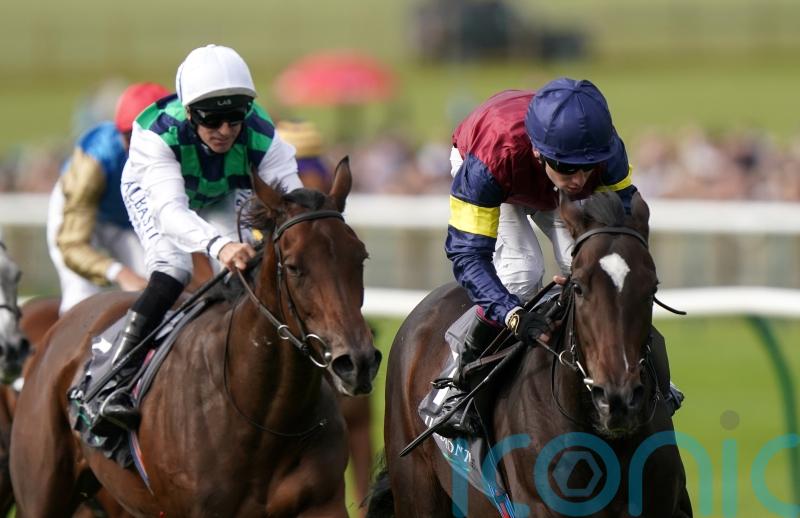 O’Brien plotting Breeders’ Cup bid with Porta Fortuna