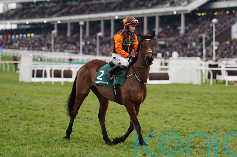 Noble Yeats to return in new year