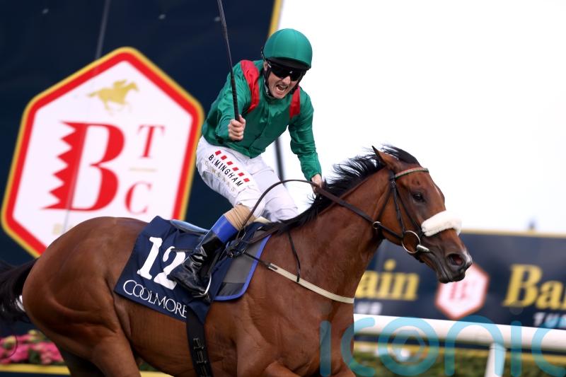 Ascot ground a concern for Weld ahead of Tahiyra date