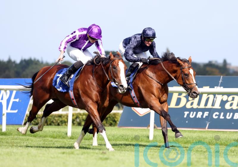 James Doyle booked for Diego Velazquez Trophy bid