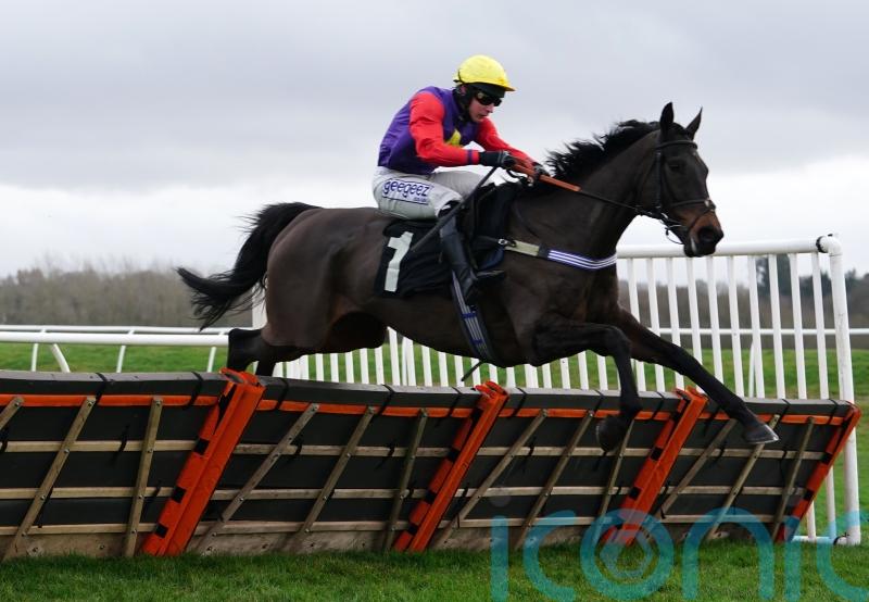 Dashel Drasher may revert to chasing next time out
