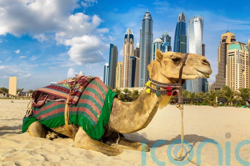 Why Dubai tops the list for a winter sun break