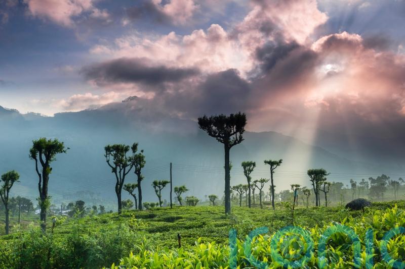 The best places to go on holiday in 2024