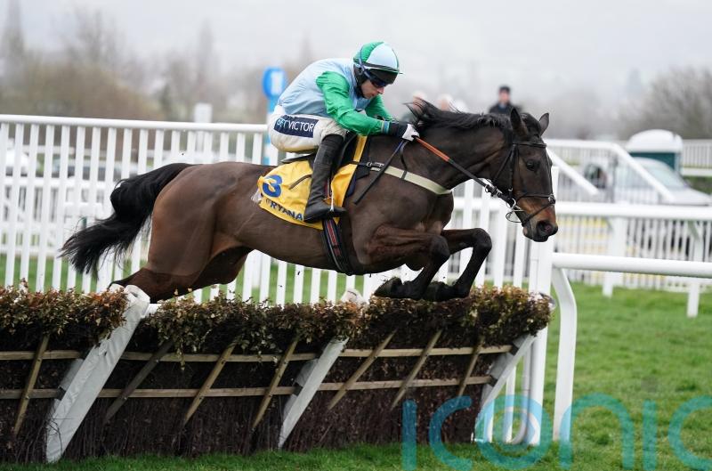 Top mares ready to take on Fighting Fifth test