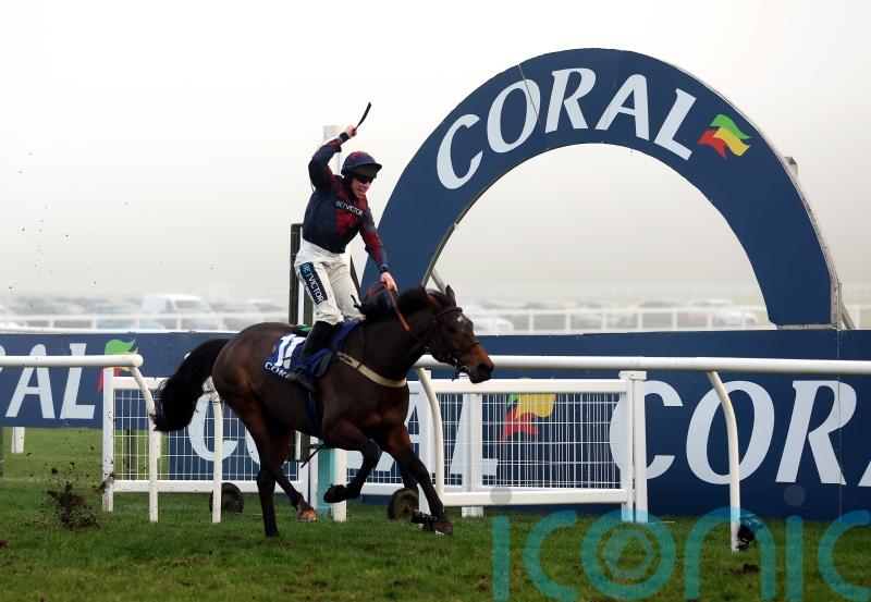 Cotswold Chase on the cards for Datsalrightgino