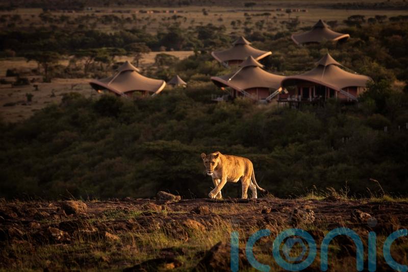 How Richard Branson’s Kenyan hideaway became a safari saviour