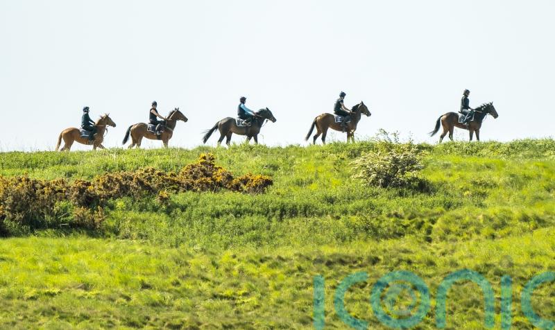 Updated Safeguarding and Human Welfare Strategy represents ‘watershed moment’ – BHA