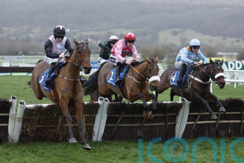 Bob Olinger the Relkeel hero back at Cheltenham