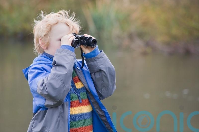 How do you get your child interested in birdwatching?