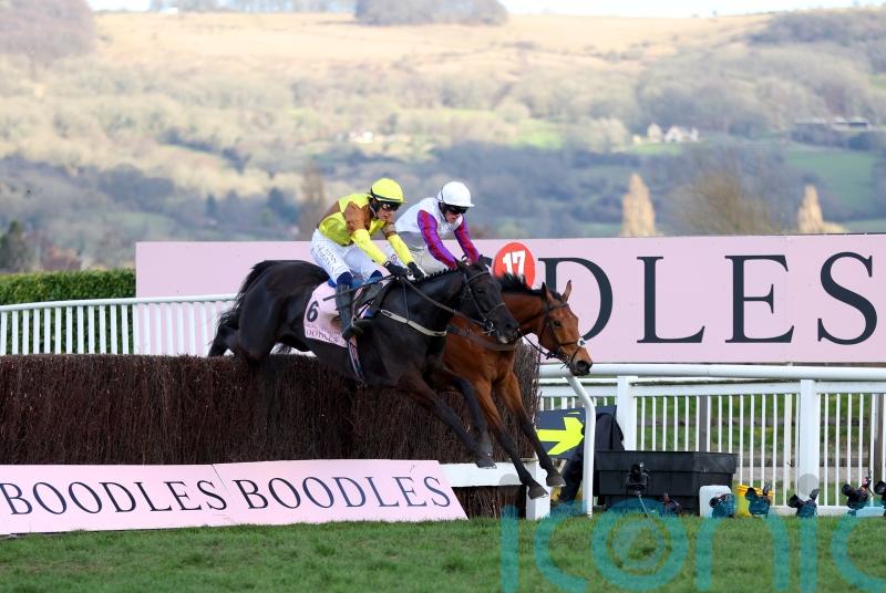 Galopin Des Champs tops 20 Gold Cup contenders
