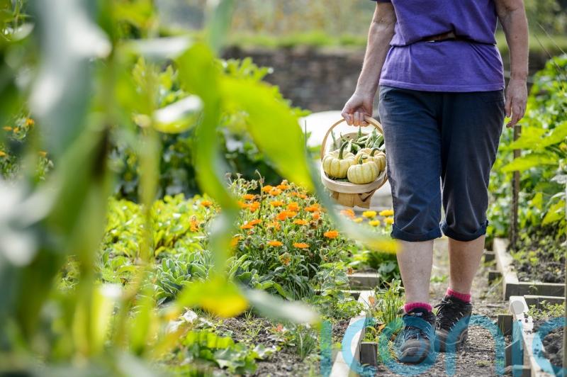 Discover new skills with the pick of the crop of gardening courses