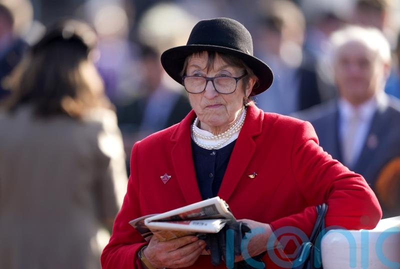 Wincanton officials desperate to beat the weather for Henrietta Knight’s return