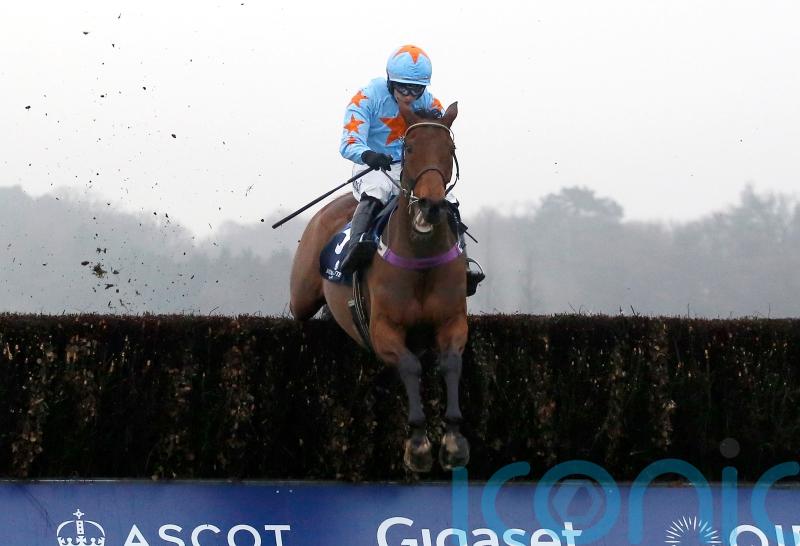 Clarence House hero Un De Sceaux ‘still wild’ in retirement